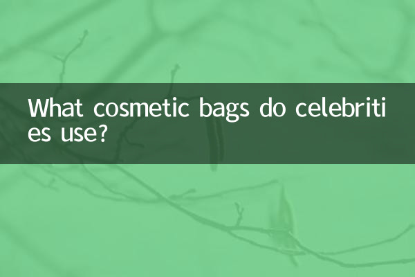 芸能人が使っている化粧ポーチは？