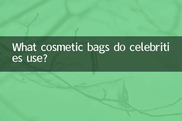 芸能人が使っている化粧ポーチは？