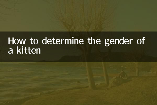 How to determine the gender of a kitten