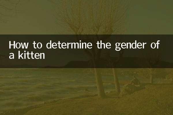 How to determine the gender of a kitten