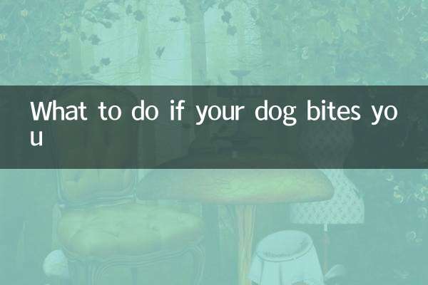What to do if your dog bites you