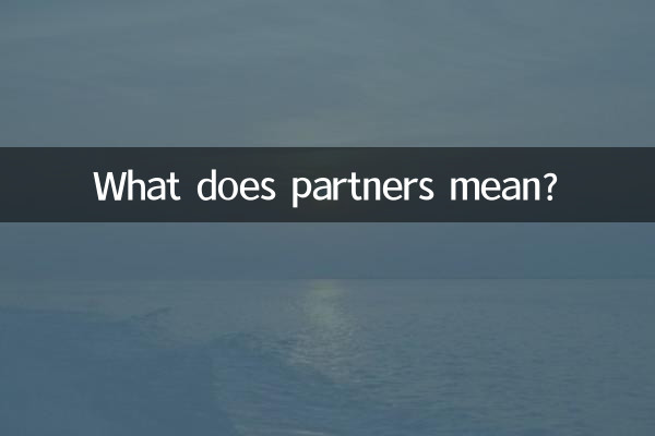 Was bedeutet Partner?