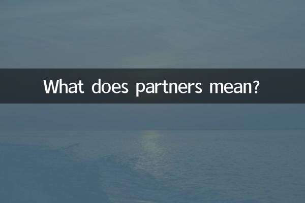 Cosa significa partner?