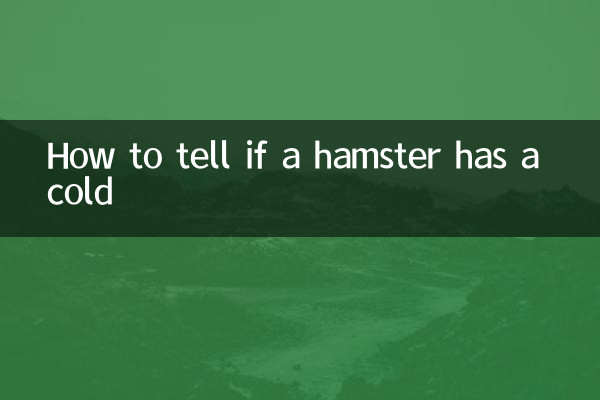 چگونه تشخیص دهیم که همستر سرما خورده است؟