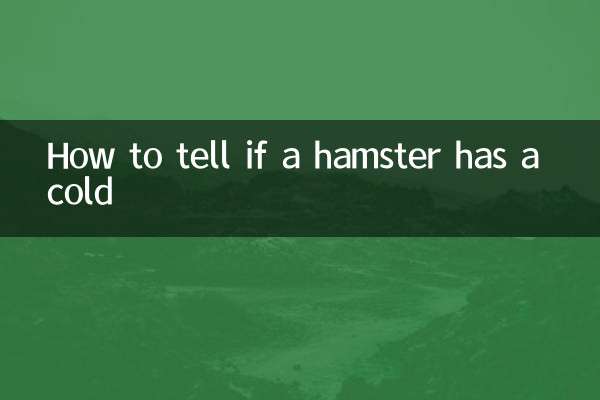 اگر کسی ہیمسٹر کو سردی ہو تو کیسے بتائیں