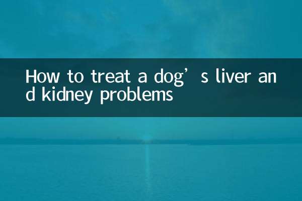 Come trattare i problemi al fegato e ai reni di un cane