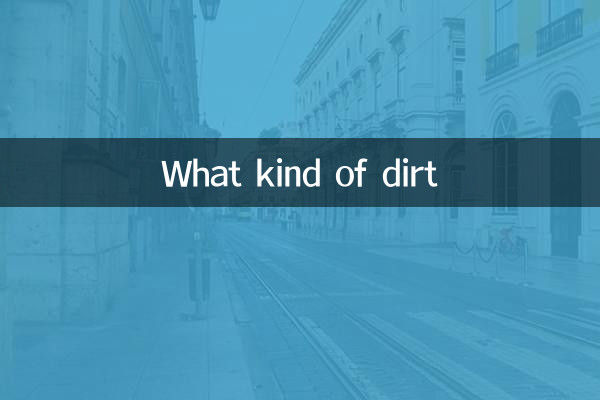 ¿Qué clase de suciedad?