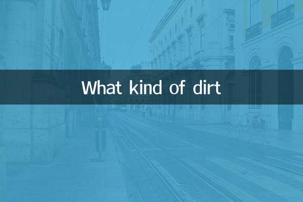 ¿Qué clase de suciedad?