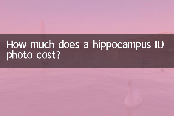 How much does a hippocampus ID photo cost?