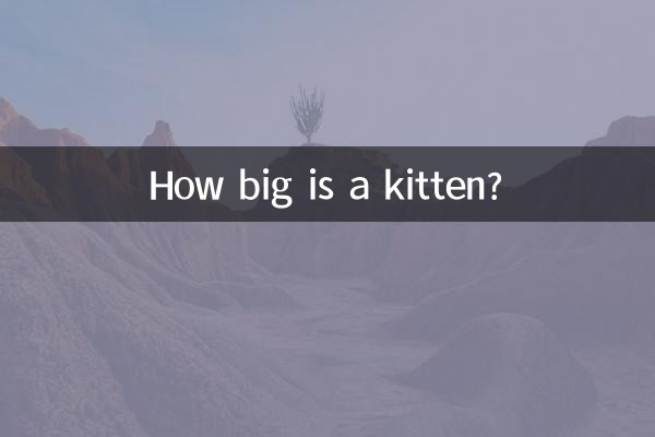 Quanto è grande un gattino?