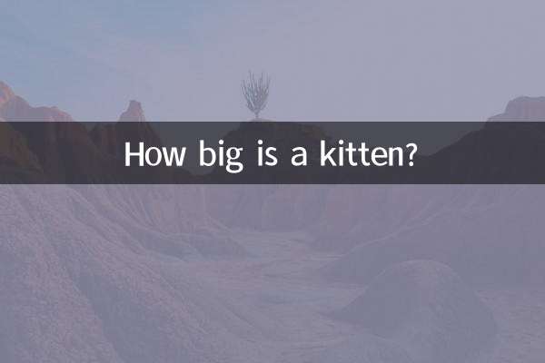 Quanto è grande un gattino?