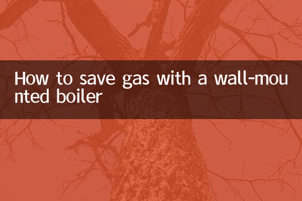 So sparen Sie Gas mit einem Wandkessel