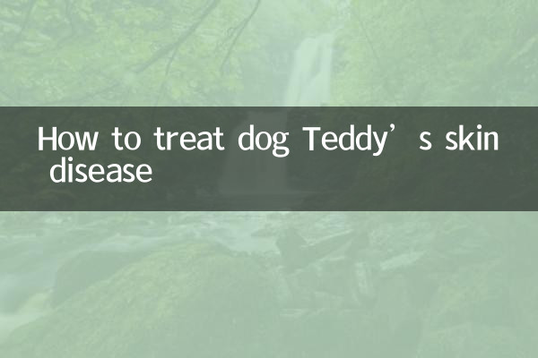 狗狗泰迪皮肤病怎么治