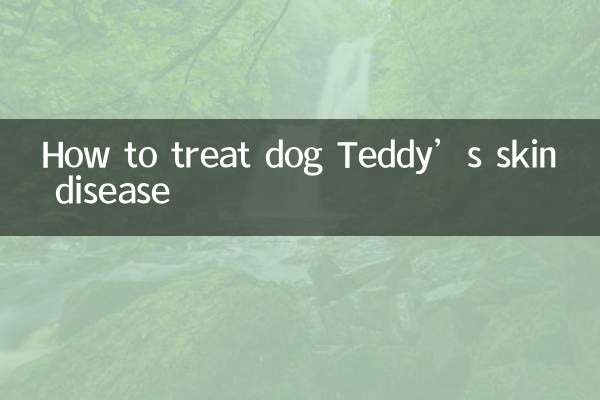 কুকুর টেডির ত্বকের রোগের চিকিত্সা কীভাবে করবেন