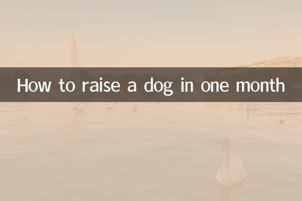 কিভাবে এক মাসের মধ্যে একটি কুকুর বাড়াতে