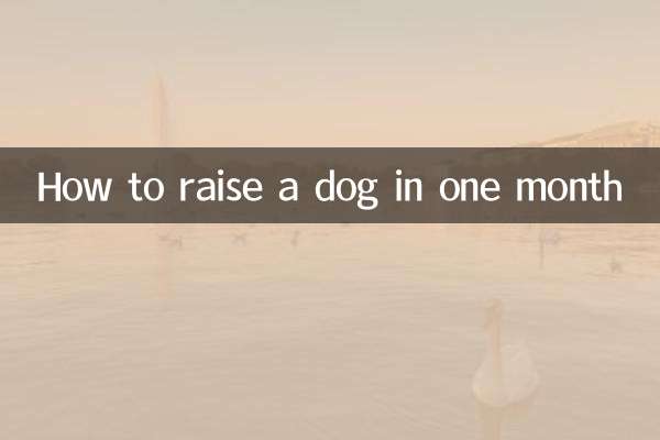 한 달 안에 개를 키우는 방법