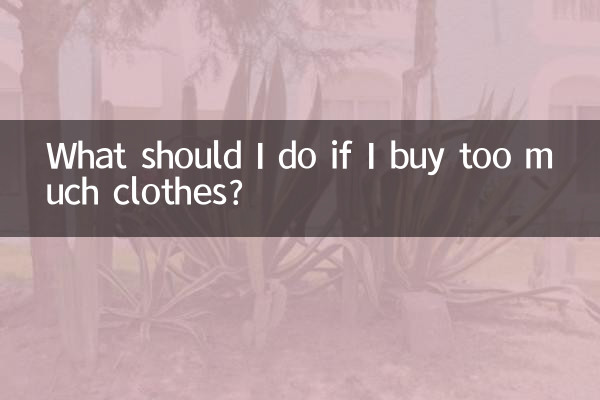Was soll ich tun, wenn ich zu viel Kleidung kaufe?