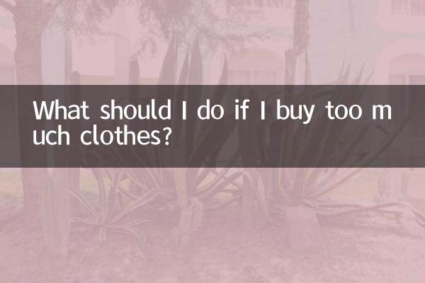 ¿Qué debo hacer si compro demasiada ropa?