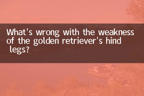 ضعف پاهای عقب گلدن رتریور چه اشکالی دارد؟