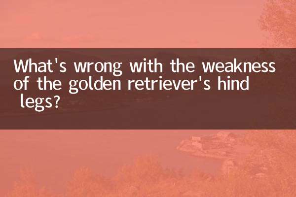 ضعف پاهای عقب گلدن رتریور چه اشکالی دارد؟