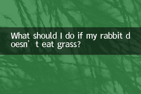 Que dois-je faire si mon lapin ne mange pas d’herbe ?