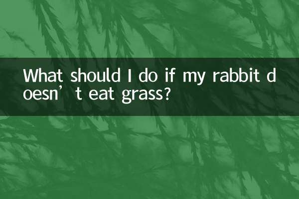 Que dois-je faire si mon lapin ne mange pas d’herbe ?