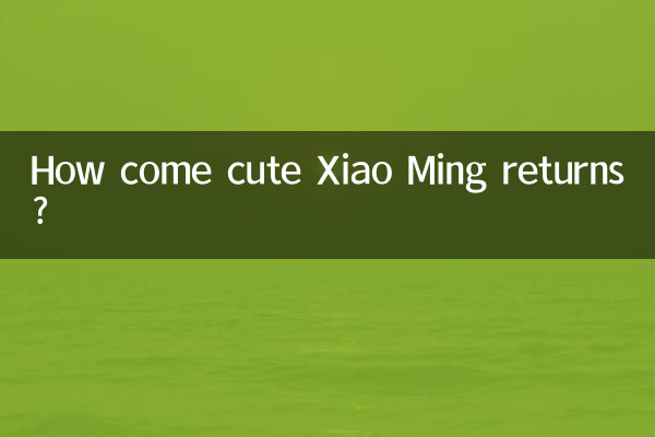 귀여운 샤오밍은 어떻게 돌아왔나요?