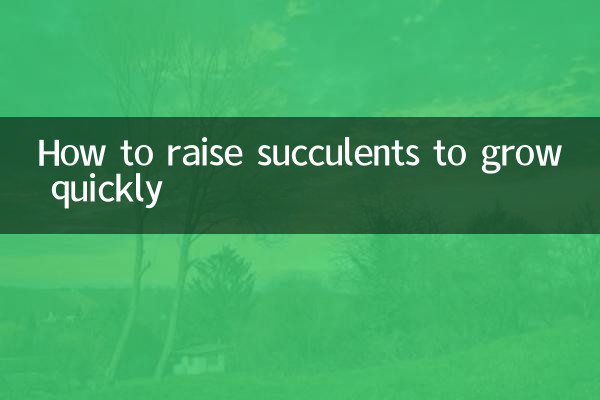 Как вырастить суккуленты, чтобы они быстро росли