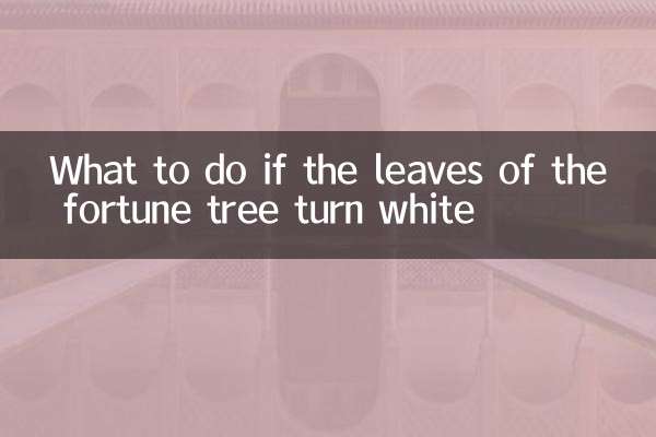 O que fazer se as folhas da árvore da fortuna ficarem brancas