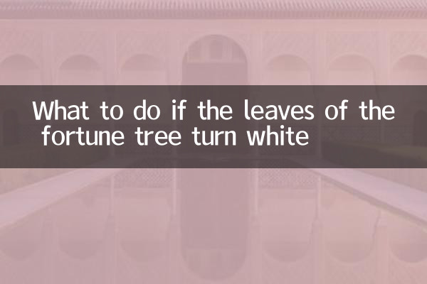 Что делать, если листья дерева счастья побелели