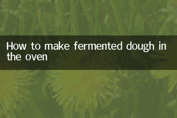 Cómo hacer masa fermentada en el horno.