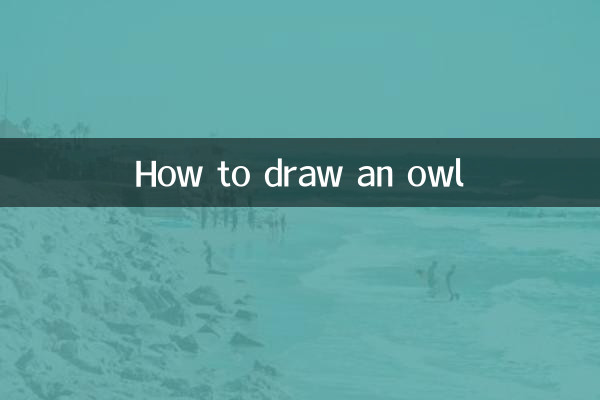 올빼미 그리는 법