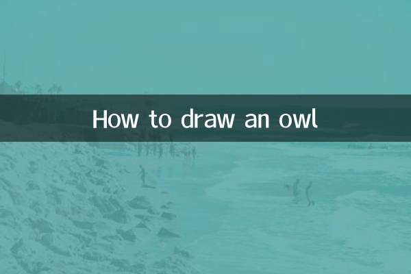 올빼미 그리는 법