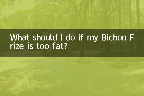 Cosa devo fare se il mio Bichon Frise è troppo grasso?