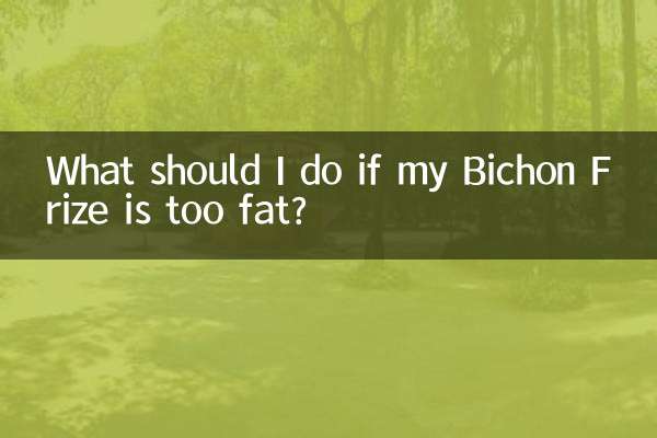 اگر Bichon Frize من بیش از حد چاق باشد چه باید بکنم؟