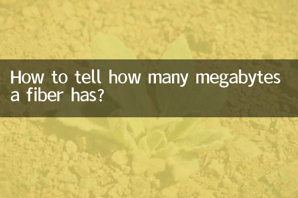 ¿Cómo saber cuántos megas tiene una fibra?