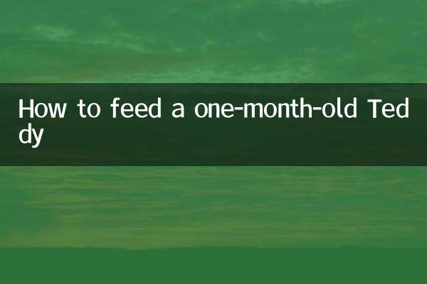 一個月的泰迪怎麼餵養