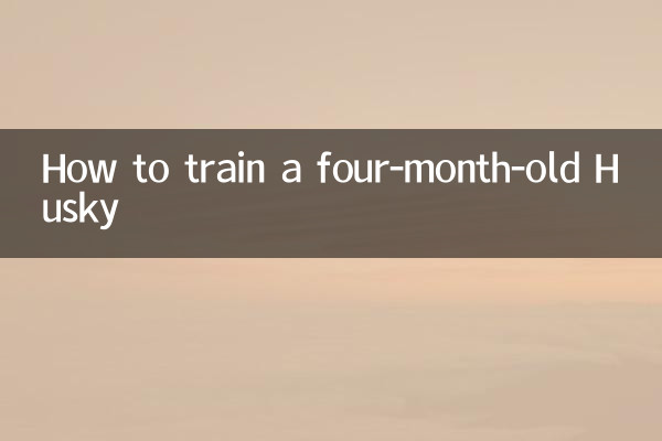 Come addestrare un Husky di quattro mesi