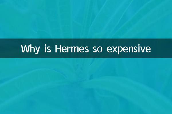 Why is Hermes so expensive