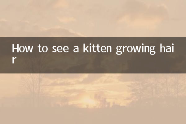 How to see a kitten growing hair