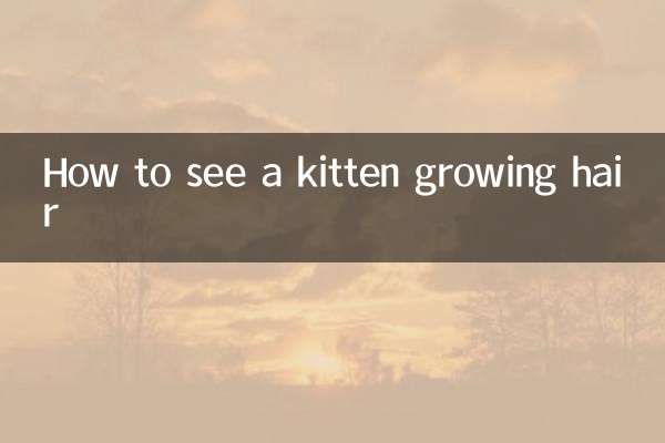 How to see a kitten growing hair