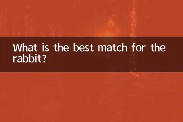 Quel est le meilleur match pour le lapin?