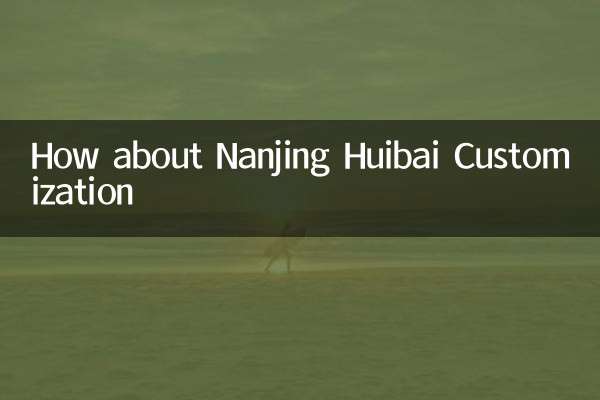 How about Nanjing Huibaishi Customization