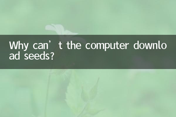 Warum kann der Computer keine Samen herunterladen?