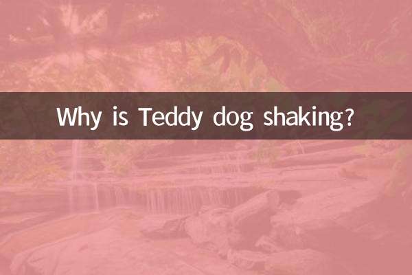 Perché il cane Teddy trema?