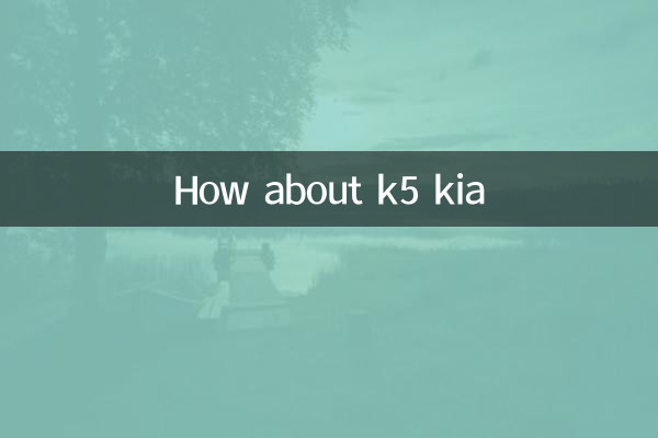 ¿Qué tal k5 kia?