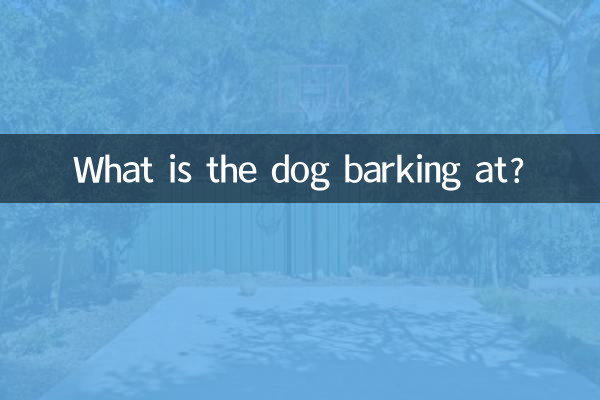 Pourquoi le chien aboie-t-il ?