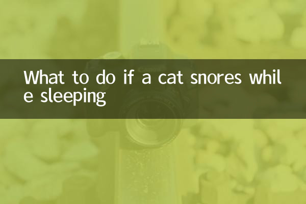 Qué hacer si un gato ronca mientras duerme