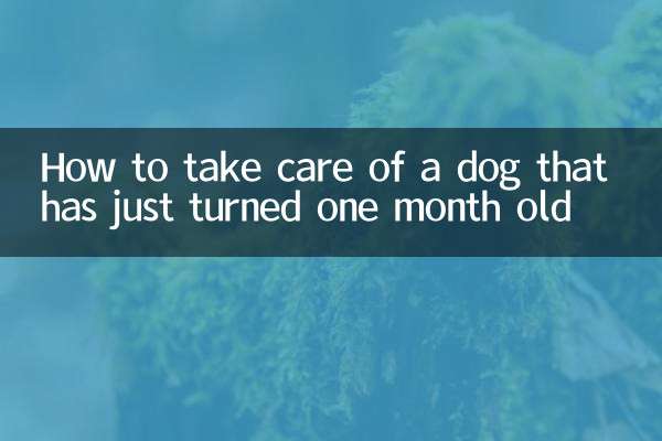 Wie man sich um einen Hund kümmert, der gerade einen Monat alt geworden ist