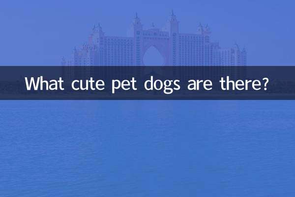 有什么可爱宠物狗